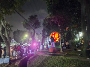 Road to Malang Menyala: Hidupkan “Passive Space” Kota dan Resmikan Malang Media Arts Community | Jurnal Jenterarakyat